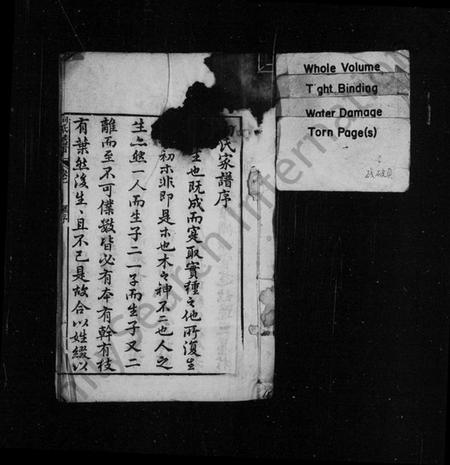 湖南向氏族谱-向氏族谱 [6卷].pdf电子版预览图2