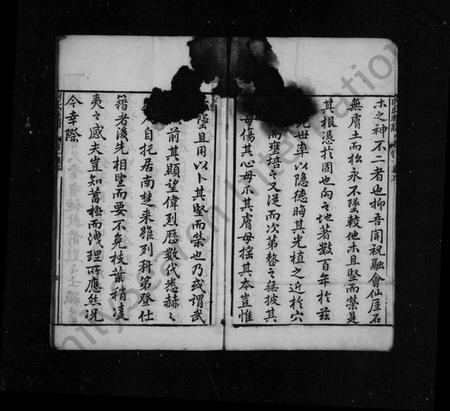 湖南向氏族谱-向氏族谱 [6卷].pdf电子版预览图5