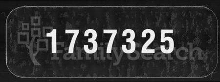 湖南向氏族谱-琥珀向氏六修族谱 [24卷,首3卷].pdf电子版缩略图