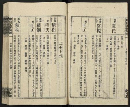 湖南萧氏族谱-秀溪萧氏五修族谱 [存69卷].pdf电子版预览图3