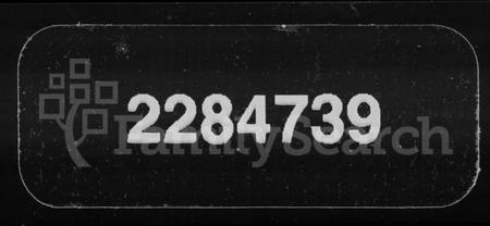 湖南萧氏族谱-萧氏七修家谱 [8卷,含卷首].pdf电子版缩略图