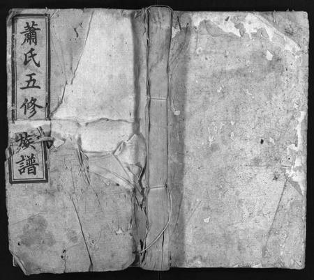 湖南萧氏族谱-萧氏五修族谱 [20卷,首1卷].pdf电子版预览图1