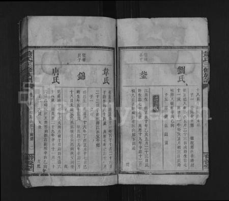 湖南萧氏族谱-萧氏三修族谱 [7卷,首1卷].pdf电子版预览图5