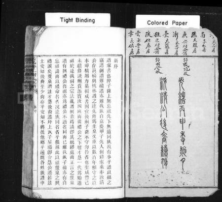 湖南谢氏族谱-新化坪上谢氏族谱 [16卷,首1卷].pdf电子版预览图2