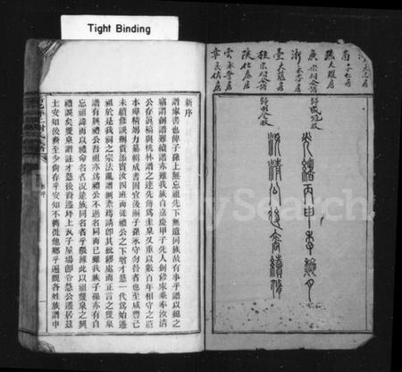 湖南谢氏族谱-新化坪上谢氏族谱 [16卷,首1卷].pdf电子版预览图3