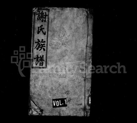 湖南谢氏族谱-新化坪上谢氏族谱 [17卷,首1卷].pdf电子版预览图1