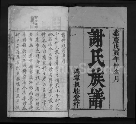 湖南谢氏族谱-沩宁谢氏续修族谱 [7卷,首末各1卷].pdf电子版预览图1