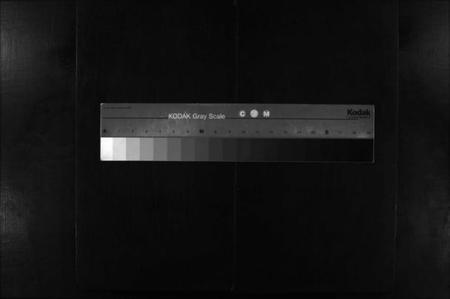 湖南谢氏族谱-罗渡谢氏通谱 [12卷,首1卷].pdf电子版缩略图