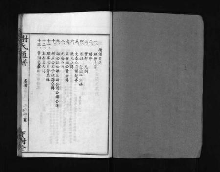 湖南谢氏族谱-罗渡谢氏通谱 [12卷,首1卷].pdf电子版预览图2