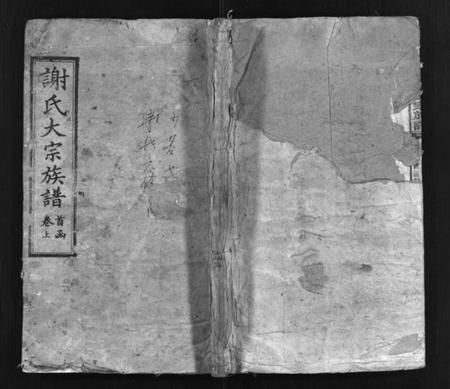 湖南谢氏族谱-谢氏大宗族谱 [按房分卷,12函,及首函上下].pdf电子版预览图1