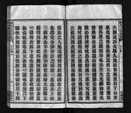 湖南谢氏族谱-谢氏大宗族谱 [按房分卷,12函,及首函上下].pdf电子版预览图5