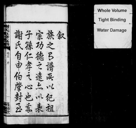 湖南谢氏族谱-谢氏支谱 [14卷,含卷首].pdf电子版预览图3
