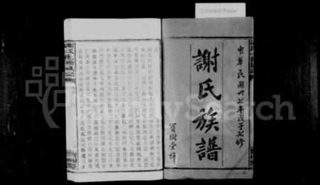 湖南谢氏族谱-谢氏族谱 [28卷,首2卷].pdf电子版预览图2