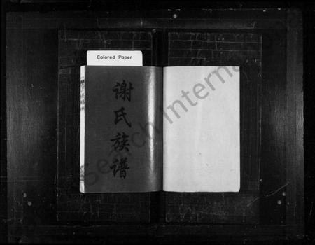 湖南谢氏族谱-谢氏族谱 [12卷].pdf电子版预览图2