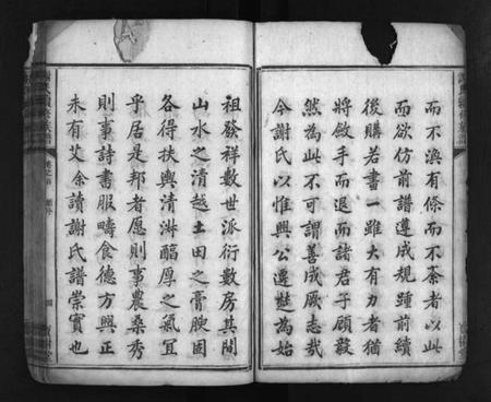 湖南谢氏族谱-谢氏续修族谱 [3卷,首2卷].pdf电子版预览图5