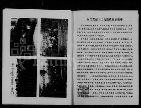 湖南谢氏族谱-谢氏资东十二支族续修族谱.pdf电子版预览图5