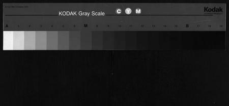 湖南谢氏族谱-谢氏通谱 [45卷,另6卷].pdf电子版缩略图