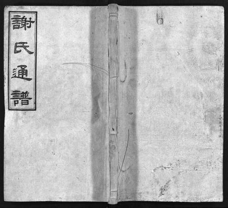 湖南谢氏族谱-谢氏通谱 [45卷,另6卷].pdf电子版预览图1