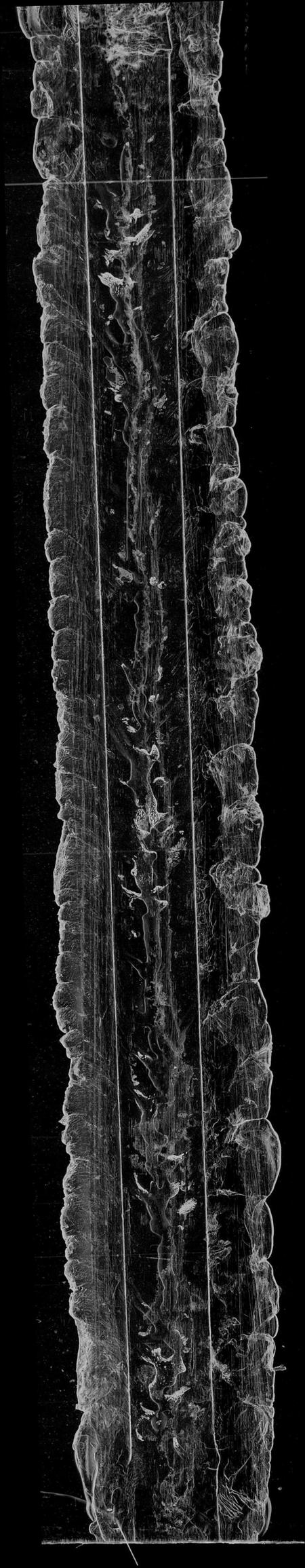 湖南谢氏族谱-醴陵谢氏五修族谱 [8卷,首1卷].pdf电子版预览图2