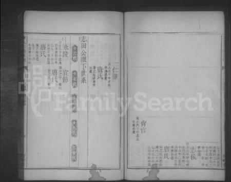 湖南谢氏族谱-谢氏四续族谱 [残卷].pdf电子版预览图5