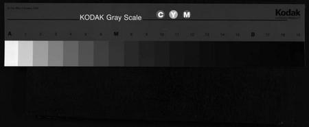 湖南谢氏族谱-谢氏九修支谱 [14卷,含卷首].pdf电子版缩略图