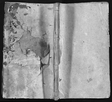 湖南谢氏族谱-谢氏九修支谱 [14卷,含卷首].pdf电子版预览图1