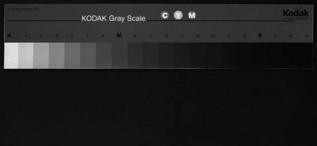 湖南谢氏族谱-学堂谢氏续谱 [不分卷].pdf电子版缩略图