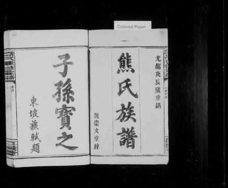 湖南熊氏族谱-熊氏族谱 [19卷,及卷首].pdf电子版预览图2