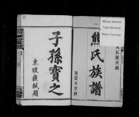 湖南熊氏族谱-熊氏族谱 [19卷,及卷首].pdf电子版预览图3