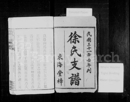 湖南徐氏族谱-徐氏支谱 [8卷,首2卷].pdf电子版预览图2