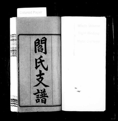 湖南阎氏族谱-阎氏支谱 [17卷,首末各3卷].pdf电子版预览图2