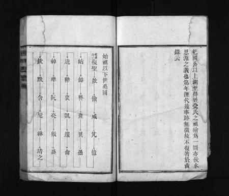 湖南颜氏族谱-颜氏支谱 [13卷].pdf电子版预览图3