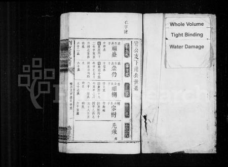 湖南严氏族谱-浏东严氏族谱.pdf电子版预览图1