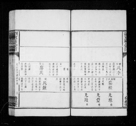 湖南严氏族谱-浏东严氏族谱.pdf电子版预览图3