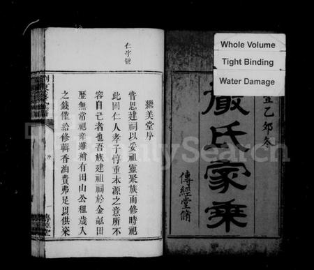 湖南严氏族谱-浏东严氏族谱.pdf电子版预览图3