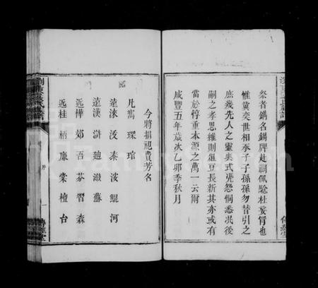 湖南严氏族谱-浏东严氏族谱.pdf电子版预览图5