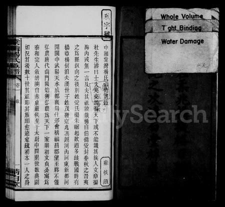 湖南杨氏族谱-中湘棠湾杨氏六修谱 [20卷].pdf电子版预览图4