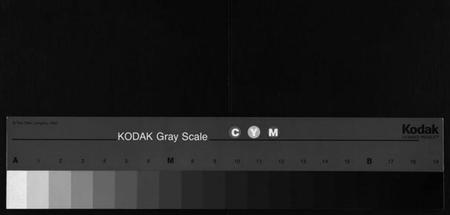 湖南杨氏族谱-古塘杨氏族谱[按部分卷].pdf电子版缩略图