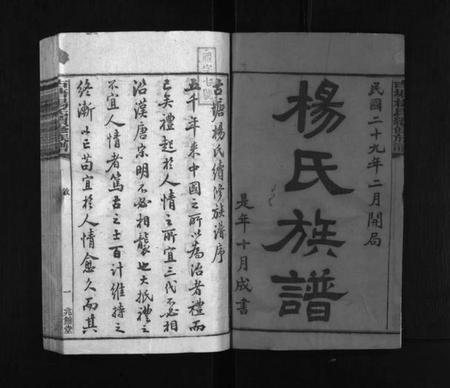 湖南杨氏族谱-古塘杨氏续修族谱 [26卷].pdf电子版预览图2