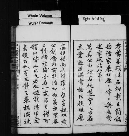 湖南杨氏族谱-宁邑白石杨氏四修族谱 [18卷,首末各1卷].pdf电子版预览图4