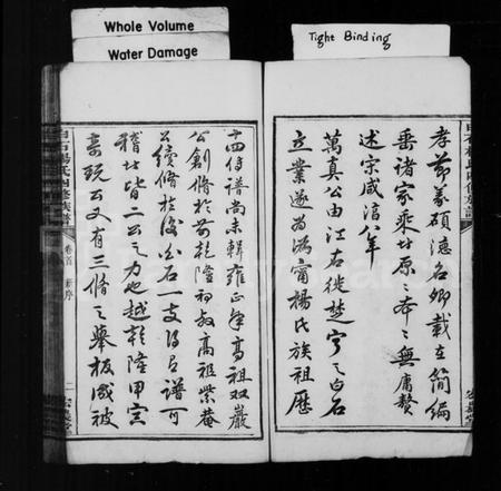 湖南杨氏族谱-宁邑白石杨氏四修族谱 [18卷,首末各1卷].pdf电子版预览图5