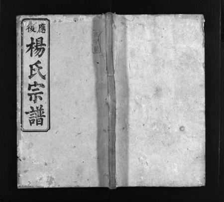 湖南杨氏族谱-应复杨氏宗谱 [世系4卷,行传62卷,首5卷,附谱1卷].pdf电子版预览图1