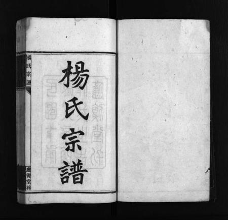 湖南杨氏族谱-应复杨氏宗谱 [世系4卷,行传62卷,首5卷,附谱1卷].pdf电子版预览图2