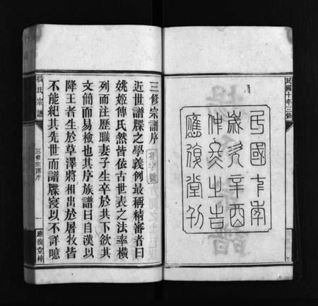 湖南杨氏族谱-应复杨氏宗谱 [世系4卷,行传62卷,首5卷,附谱1卷].pdf电子版预览图3