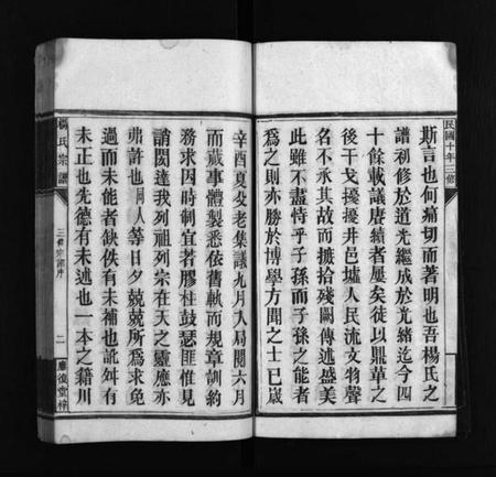 湖南杨氏族谱-应复杨氏宗谱 [世系4卷,行传62卷,首5卷,附谱1卷].pdf电子版预览图4