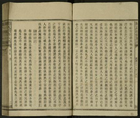 湖南杨氏族谱-新化杨氏族谱 [世系5卷,首10卷].pdf电子版预览图2