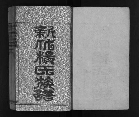 湖南杨氏族谱-新化杨氏族谱 [卷首10卷,世系13卷].pdf电子版预览图2