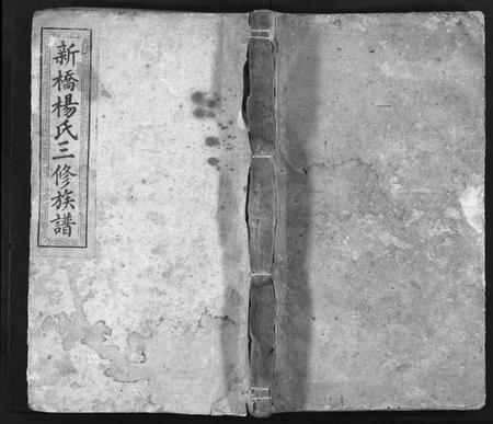 湖南杨氏族谱-新桥杨氏三修族谱 [29卷含首1卷,末1卷].pdf电子版预览图1