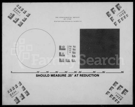 湖南杨氏族谱-新桥杨氏四修族谱 [62卷,首末各1卷,艺文3卷].pdf电子版预览图2