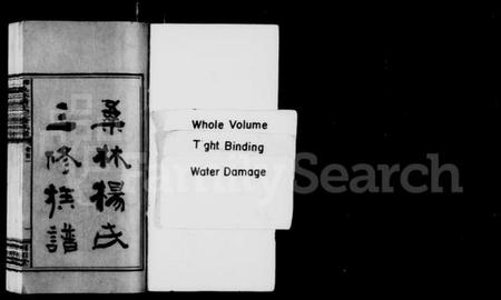 湖南杨氏族谱-桑林杨氏三修族谱 [13卷,首2卷].pdf电子版预览图2